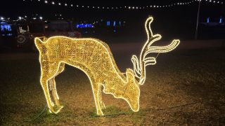 2024-12-GC-Parque_del_Sur-57.jpg